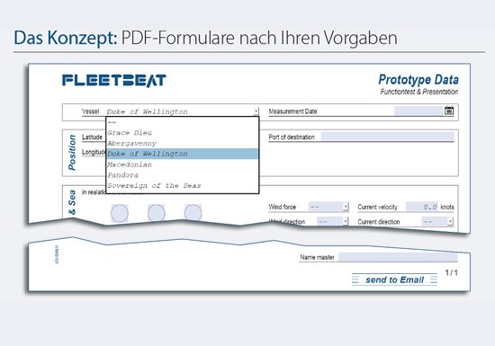 individuelle PDF-Formulare nach Ihrem Vorgaben
